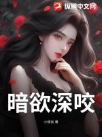 暗欲讲的是什么故事