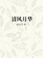 月 清风