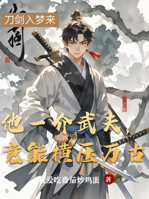 一介武夫下一句是什么