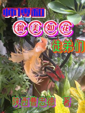 师傅他貌美如花番外