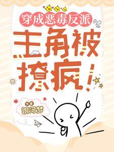 穿成恶毒反派主角被撩疯云盘