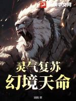 灵气复苏一键提取强化值