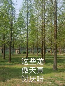龙傲天类型的文笔好
