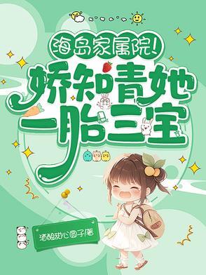 海岛家属院!娇知青她一胎三宝全文TXT