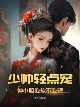 啊…少帅终于得到你了