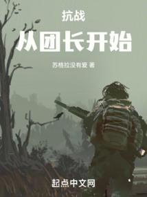 抗战之我的装甲军笔趣阁