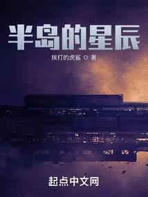 半岛的星辰讲的是什么