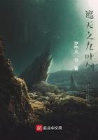 遮天叶凡九秘
