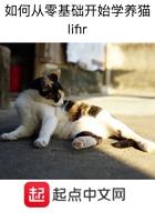 新手怎么养猫?