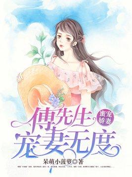 傅先生宠妻无度全文免费阅读