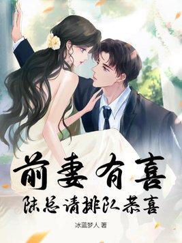 前妻有喜全文免费阅读全文云栖木