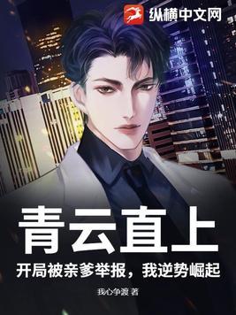 青云直上免费全文在线阅读