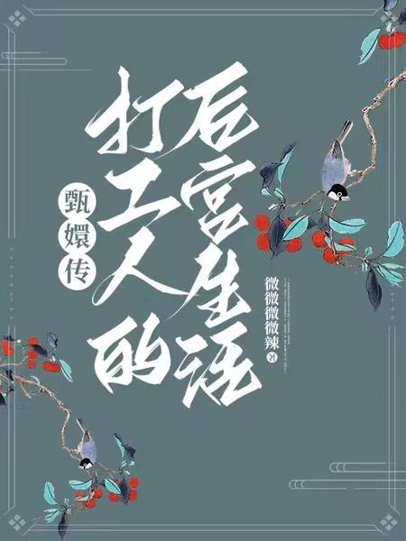 甄嬛传宫里的砖