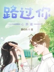 路过你心静谧封面