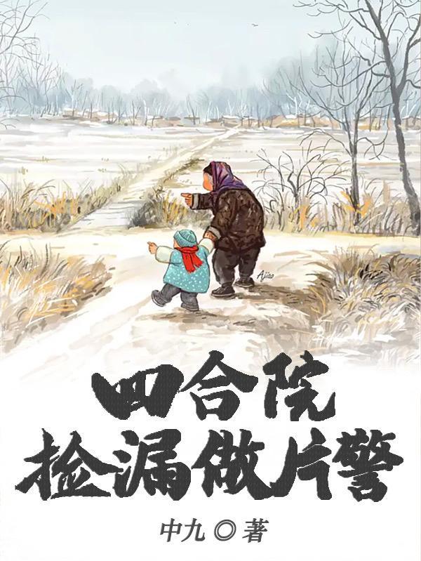 四合院警察
