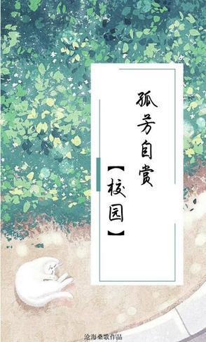 孤芳自赏吧
