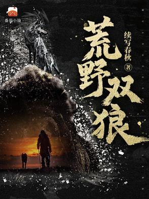 荒野双狼全集免费观看