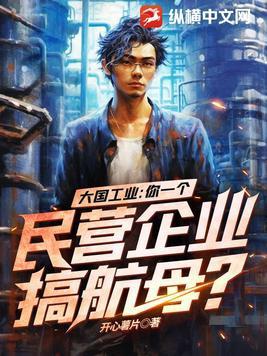 大国工业你一个民营企业搞航母? 第1000章