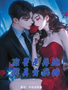 司总的电视剧