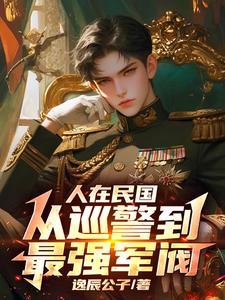 我的军阀生涯