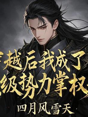 穿越后我成了权臣