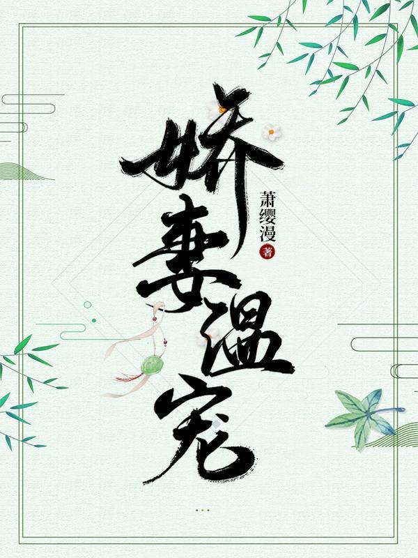 娇宠妻宝