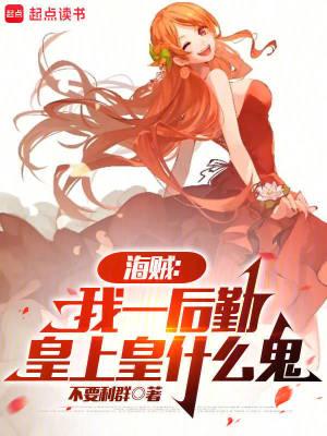 海贼我一后勤皇上皇什么鬼无防盗
