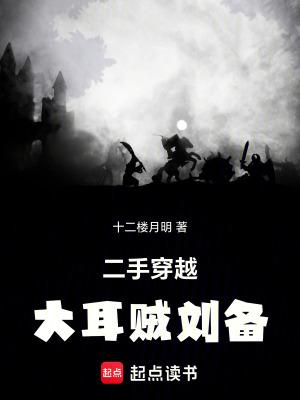 二手穿越大耳贼刘备TXT