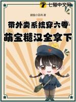 六零年代外卖系统txt