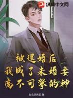 退婚后未婚夫被我攻