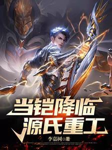 源氏铠甲图片