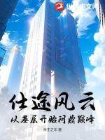 仕途之风云再起完整版