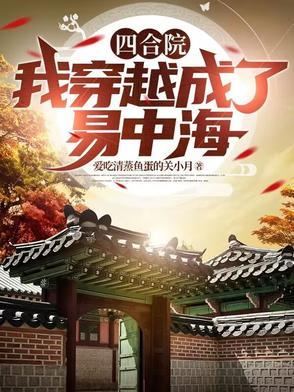 四合院我穿越成中年傻柱