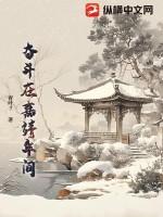 奋斗在嘉靖年间青叶7