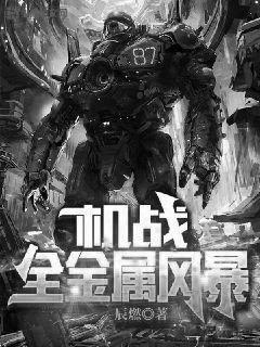 机战全金属风暴 第2387章
