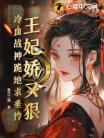 冷王宠不停
