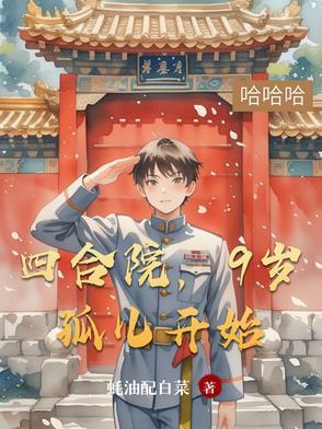 四合院的小婴儿