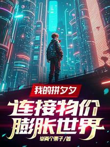 一个普通手机壳成本
