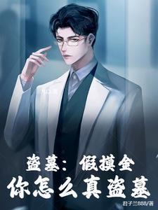 盗墓我是摸金魁首书包网