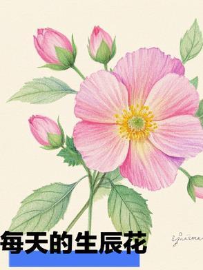 生辰花怎么算