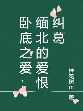 连续剧卧底2