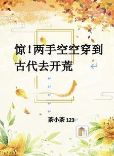 两手空空后面一句
