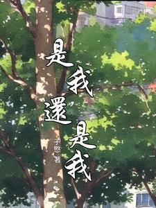这首歌是你还是我我是谁