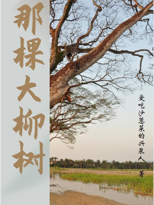 这株柳树的神奇之处体现在哪里?