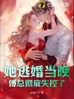 傅爷 夫人又逃婚了