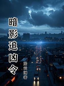 暗影追击强化版攻略