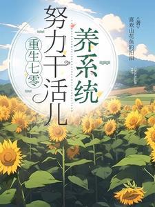 重生七零挣钱忙