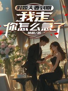 假结婚后离婚