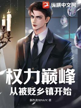 权力巅峰从被贬乡镇开始简介