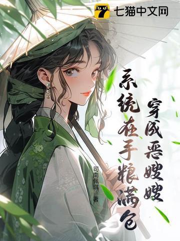 穿越恶嫂手册